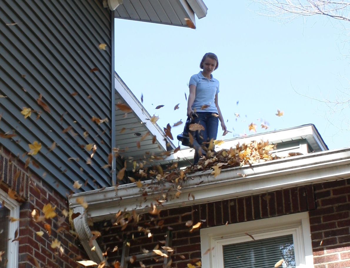 2014-11-08 Cate blowing leafs.jpg